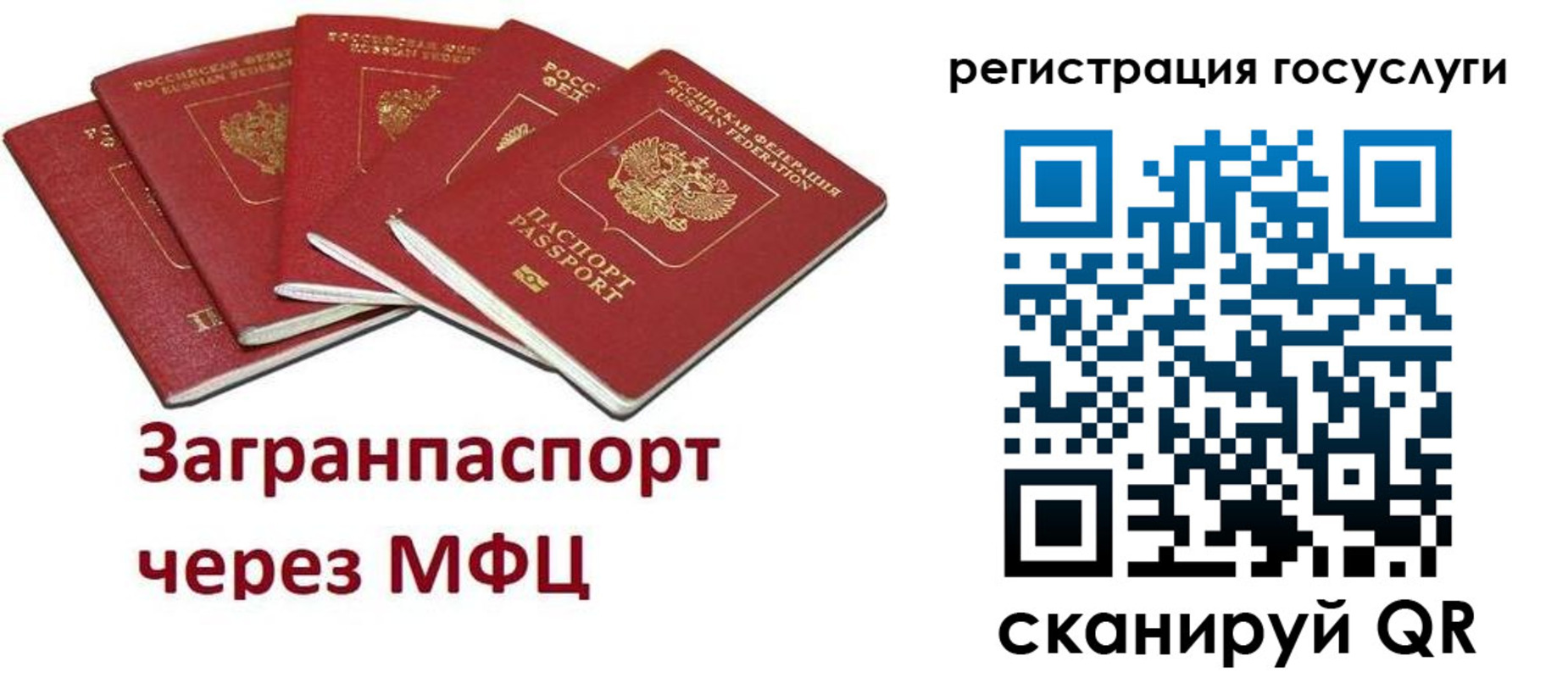 прописка 2025 в Юрьев-Польском